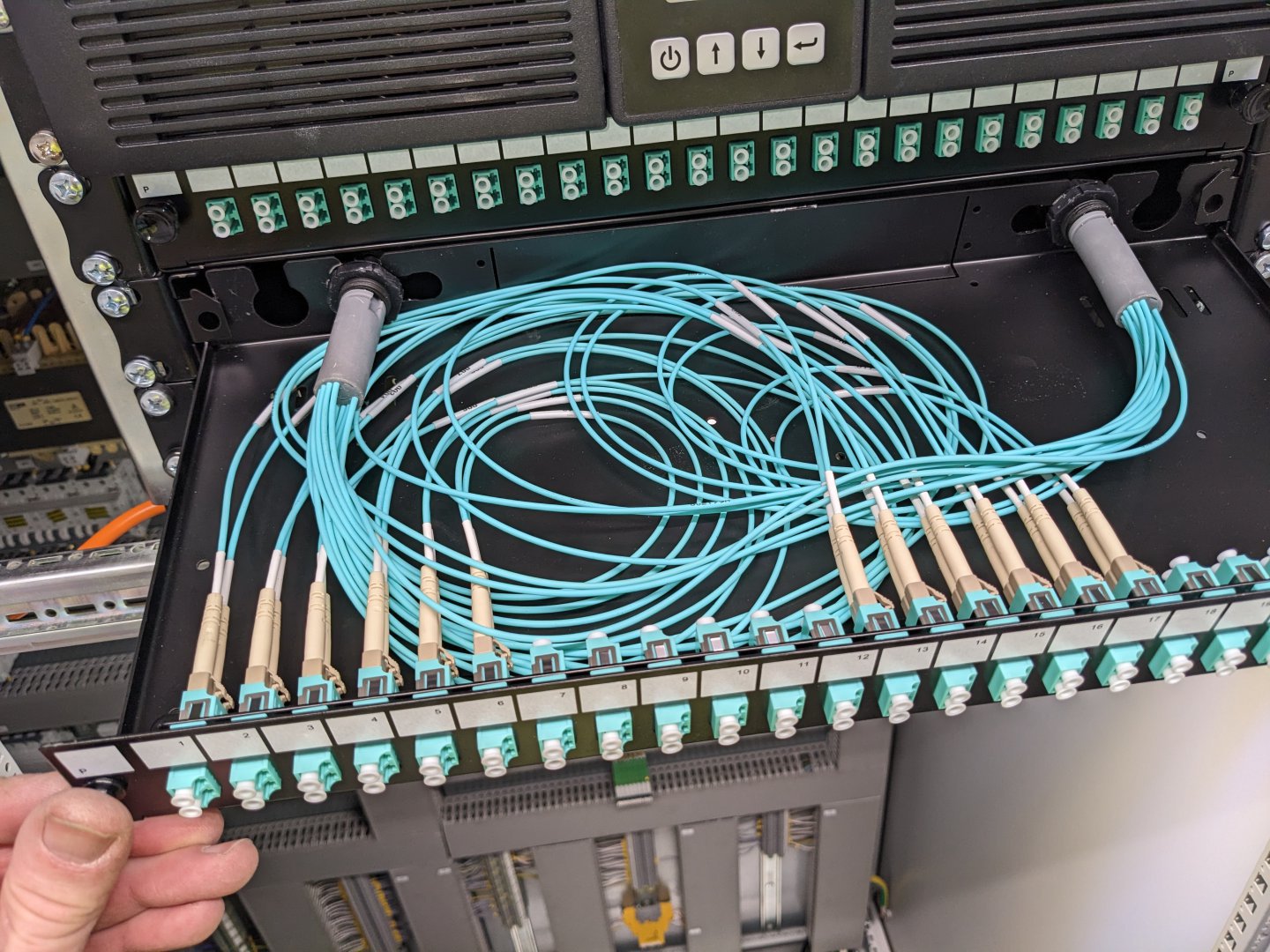 PXL 20230307 125340296